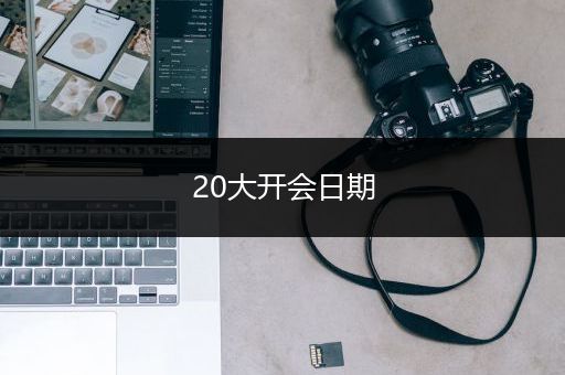 20大开会日期